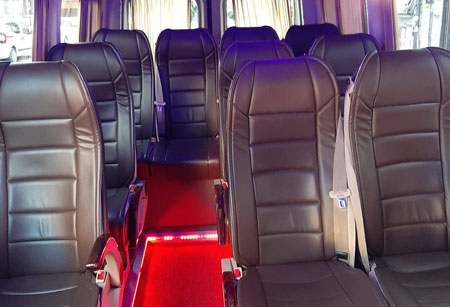 Sprinet with driver chauffeur service istanbul
